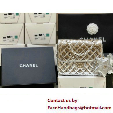 chanel Metallic Mirror Calfskin, Metallic Lambskin & Gold-Tone Metal Silver Flap Bag & Star Coin Purse AS4649 2024(original quality)